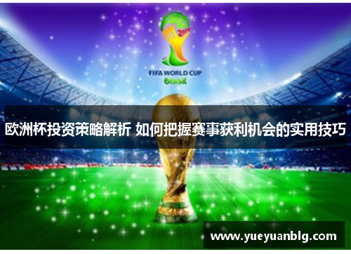 欧洲杯投资策略解析 如何把握赛事获利机会的实用技巧