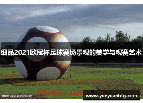 细品2021欧冠杯足球赛场景观的美学与观赛艺术
